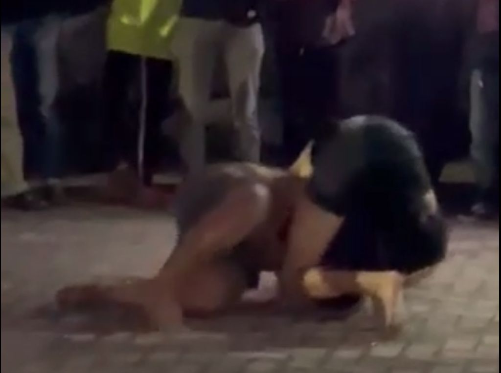 Viral Pria di Makassar Tarung Bebas Diorganisir Kelompok, Polisi Selidiki Viral Pria di Makassar Tarung Bebas Diorganisir Kelompok, Polisi Selidiki