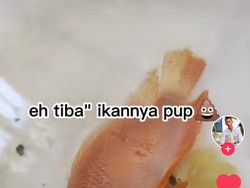 Viral! Pria Ini Berhasil Hidupkan Ikan Beku Pakai Bahan Pengembang Kue