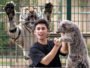 Kronologi Nikah Siri Singkat Alshad Ahmad dengan Nissa Asyifa