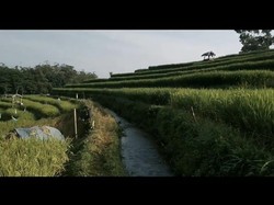 Menengok Pesona Desa Penanggungan Mojokerto di Rumah Digital Indonesia