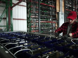 Kerja di Tambang Bitcoin, Remaja Ini Digaji Ratusan Juta