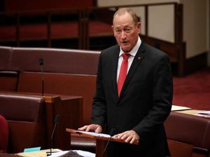 Pengadilan Australia Vonis Mantan Senator karena Terbukti Menghina Muslim Pengadilan Australia Vonis Mantan Senator karena Terbukti Menghina Muslim