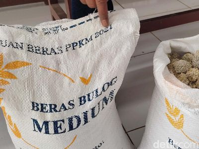 Begini Rupa Beras Batu Bansos PPKM untuk Warga Pandeglang