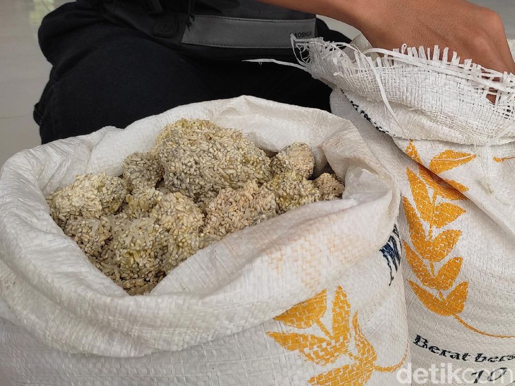 Beras Batu Bantuan PPKM Juga Ditemukan di Kabupaten Lebak