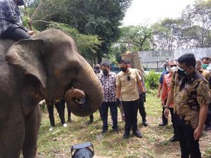 Bobby Siap Tarik Investor Kembangkan Kebun Binatang Medan