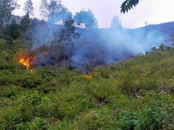 Kebakaran Hutan di Sekitar Danau Toba Meluas
