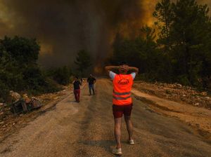 Ganasnya Kebakaran Hutan di Turki yang Ancam Pembangkit Listrik
