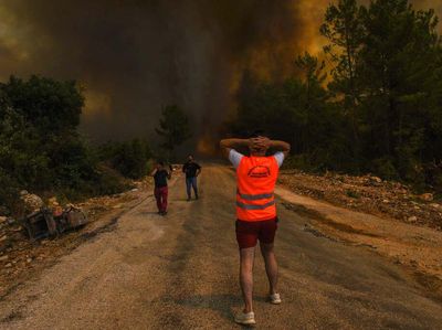 Ganasnya Kebakaran Hutan di Turki yang Ancam Pembangkit Listrik