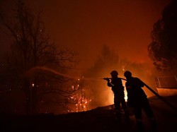Kebakaran Hutan di Yunani, Warga Dievakuasi Pakai Kapal Feri
