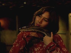 KKN di Desa Penari Melejit, 70 Ribu Tiket dalam 3 Hari