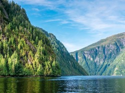 Pesawat Tamasya Jatuh, 6 Orang Tewas