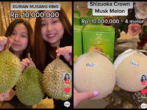 Sisca Kohl Cicip 5 Buah Sultan Jutaan Rupiah, Ada Melon Rp 10 Juta! Sisca Kohl Cicip 5 Buah Sultan Jutaan Rupiah, Ada Melon Rp 10 Juta!