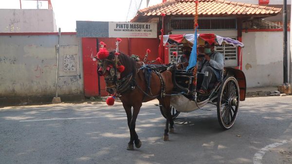 Potret Sedih Kusir Andong di Kudus: Pernah Seharian Tak Dapat Penumpang