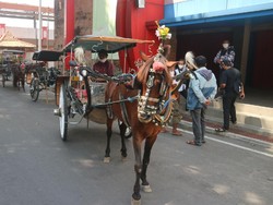 Andong di Kudus Bertahan dari Hantaman Pandemi, Pernah Tak Ada Penumpang
