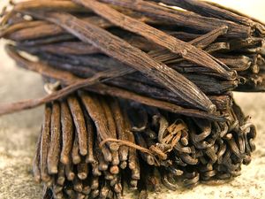 Disebut Berasal dari Dubur Berang-berang, Vanili Harganya Rp 12 Juta Per Kilogram Disebut Berasal dari Dubur Berang-berang, Vanili Harganya Rp 12 Juta Per Kilogram