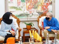 Bakal Ada Sentra Sapi Perah di Banyuwangi