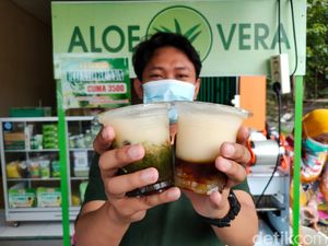 Olahan Unik Lidah buaya Khas Kulon Progo Jadi Cendol dan Isian Lumpia