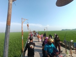 Ubah Tegalan Sawah Jadi Spot Unik, Kampung Plawad Dikunjungi Warga