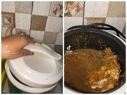 Jijik! Ditinggal Berbulan-bulan, Rice Cooker Ini Penuh Belatung
