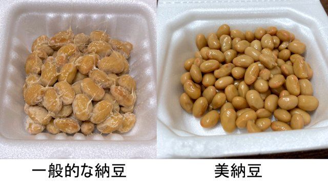 Natto Tercantik