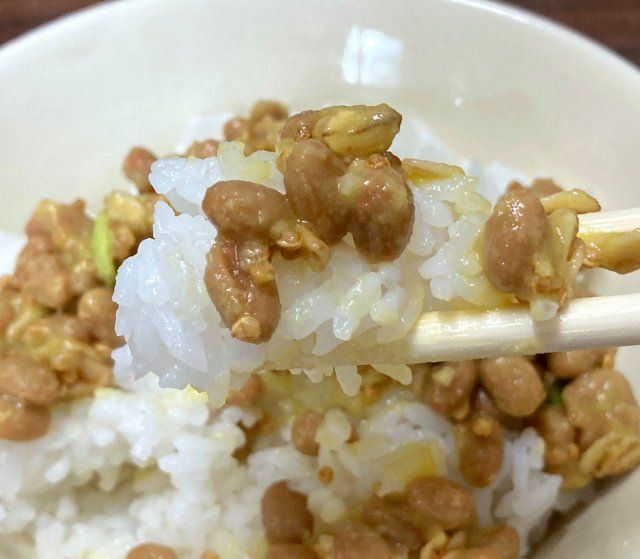 Natto Tercantik