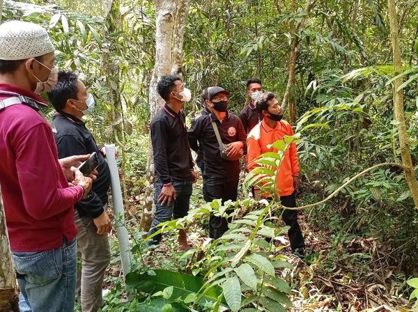 Pelatihan Budidaya Jernang Bernilai Ekonomis Tinggi
