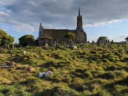 Terima Kasih Kambing-Domba! Akhirnya Kuburan Kuno Ini Ketemu Juga