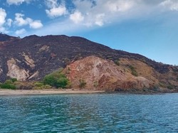 10 Hektare Sabana di Laju Pemali TN Komodo Terbakar, Sebab Diselidiki