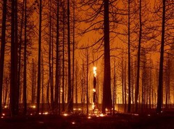 Badai Api Pernah Menyapu Bumi, Dampaknya Menyeramkan