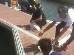 Ikan Loncat ke Daratan, Warga Banyuwangi Enggan Berpikir Pertanda Bencana