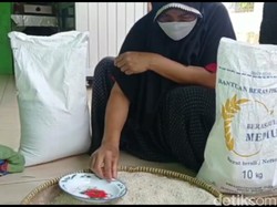Warga Tasikmalaya Keluhkan Beras Bantuan Berbau dan Berkerikil