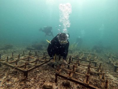 Kesinambungan Konservasi Alam Tetap Dilakukan Selama Pandemi