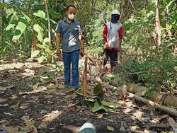 Benda Misterius yang Jatuh dari Langit di Ngawi Terkuak