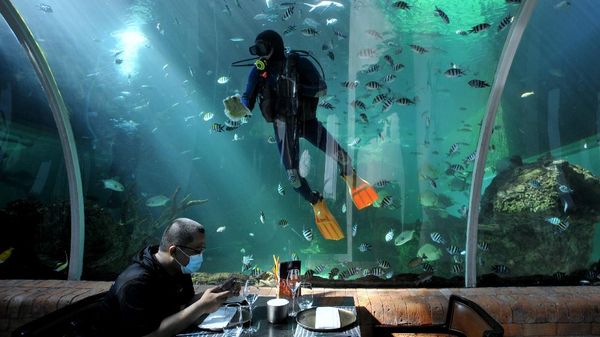 Restoran Under Water di Bali Dapat Gelar Terbaik Dunia
