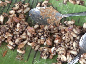 Nikmat Berkhasiat! Ini Pepes Sarang Lebah dari Polewali Mandar Nikmat Berkhasiat! Ini Pepes Sarang Lebah dari Polewali Mandar