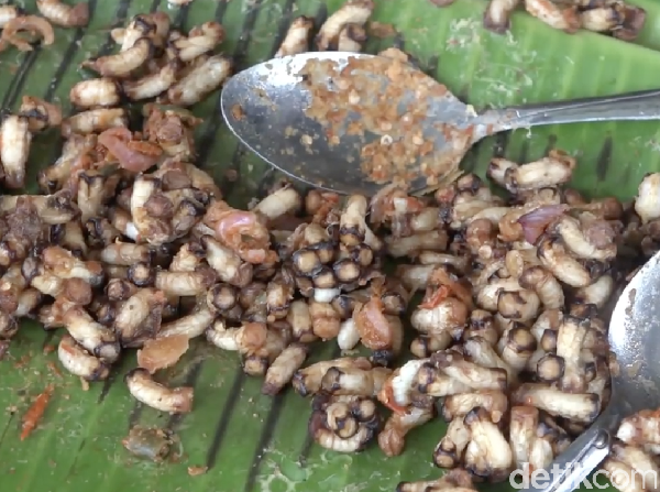 Nikmat Berkhasiat! Ini Pepes Sarang Lebah dari Polewali Mandar