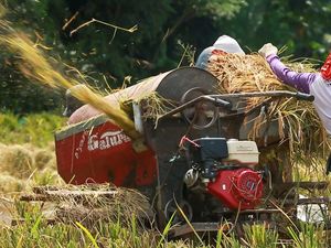 Penyaluran Kredit Pertanian BRI hingga Juni 2021 Tembus Rp 117,54 T Penyaluran Kredit Pertanian BRI hingga Juni 2021 Tembus Rp 117,54 T