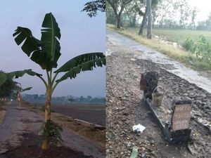 Viral Kuburan di Tengah Jalan Klaten, Kok Bisa?