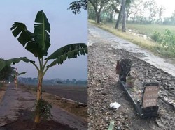 Viral Kuburan di Tengah Jalan Klaten, Kok Bisa?