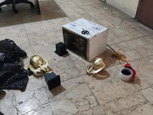 Hendak Diselundupkan ke Inggris, 5 Ular Berbisa Disimpan dalam Dua Piala