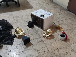 Hendak Diselundupkan ke Inggris, 5 Ular Berbisa Disimpan dalam Dua Piala