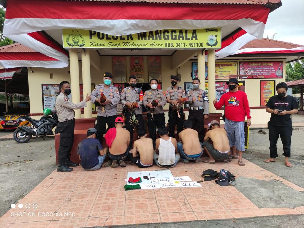 Judi Sabung Ayam di Makassar Resahkan Warga, 6 Pelaku Diamankan Polisi