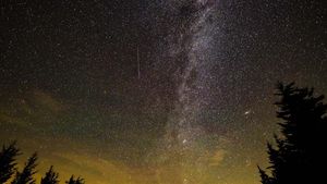 Penampakan Hujan Meteor Perseid di Virginia yang Memanjakan Mata