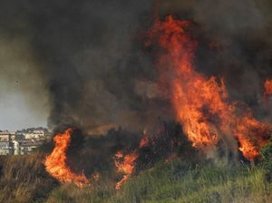 Kebakaran Hutan di Italia Capai Suhu 48 Derajat Celsius