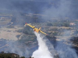 Muncul Belasan Titik Kebakaran Hutan di California