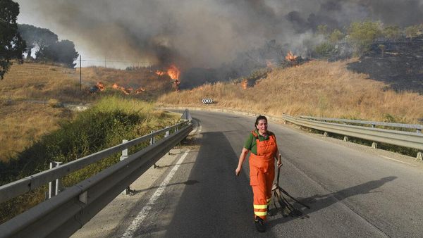 Potret Kebakaran Hutan yang Melanda Italia