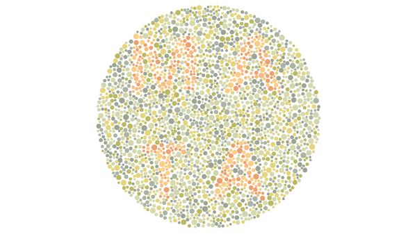 Tes Buta Warna, Tebak Kata Tersembunyi di Gambar Ini!