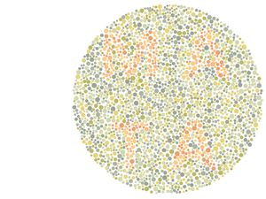 Tes Buta Warna, Tebak Kata Tersembunyi di Gambar Ini!