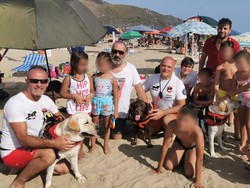 Guk! Anjing Penjaga Pantai Selamatkan Anak-anak yang Hampir Tenggelam