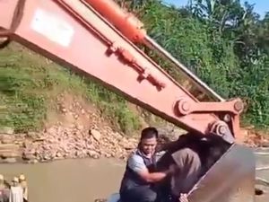 Detik-detik Ibu dan Bayi Diangkut Ekskavator Seberangi Sungai di Lebak Detik-detik Ibu dan Bayi Diangkut Ekskavator Seberangi Sungai di Lebak